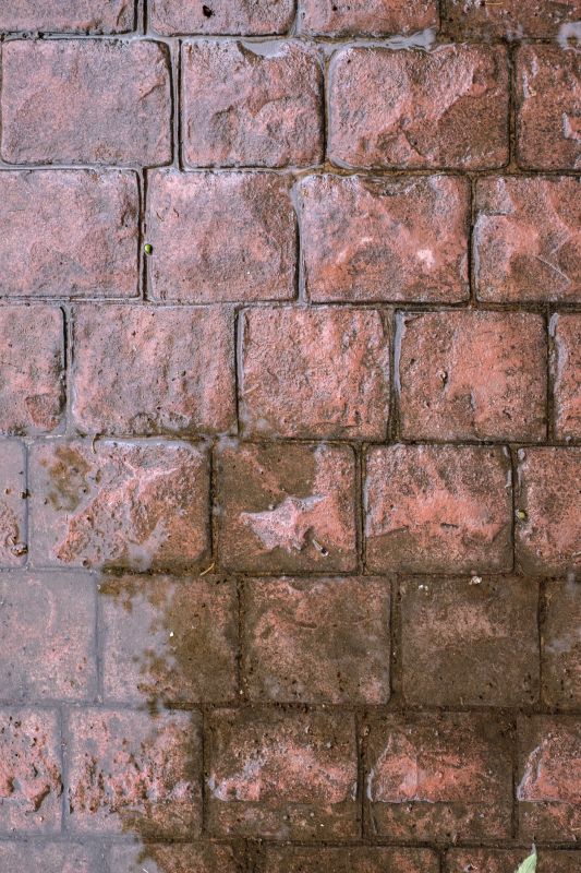Decorative Concrete Repair in Rockwall, TX